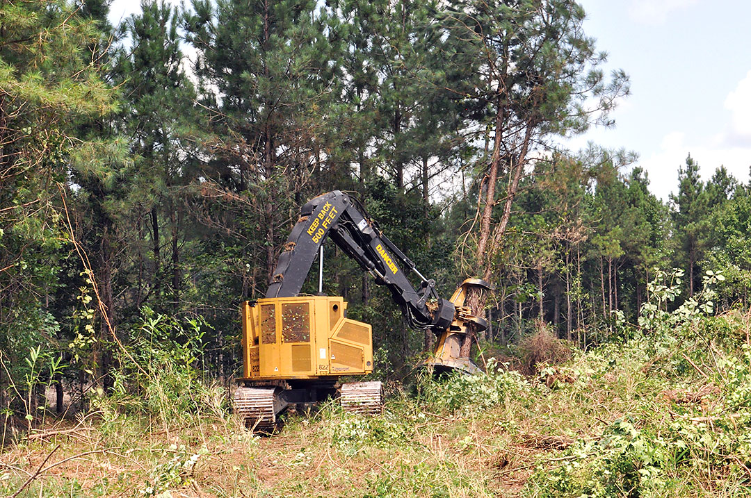 logging business of the year timber harvesting timber harvesting