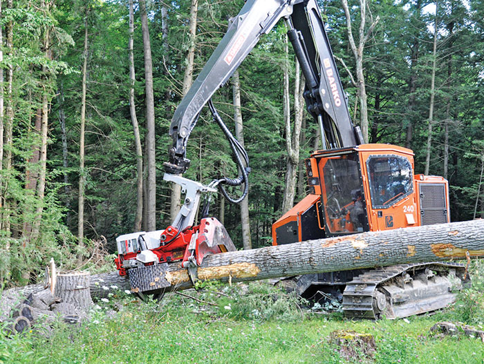 january february 2016 timber harvesting timber harvesting