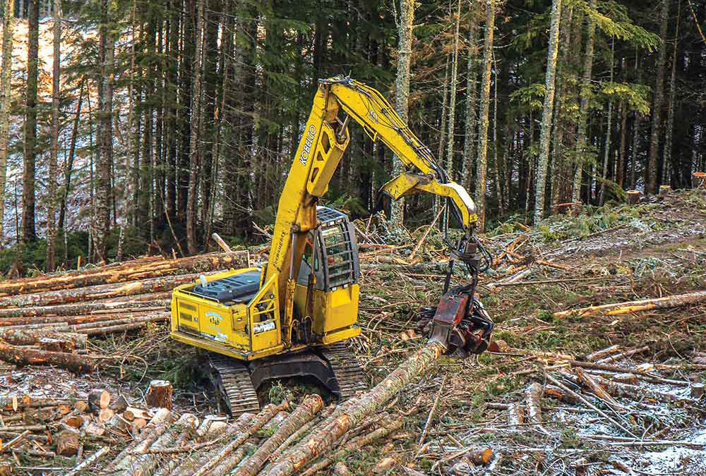 Oregon May Alter Forest Practices