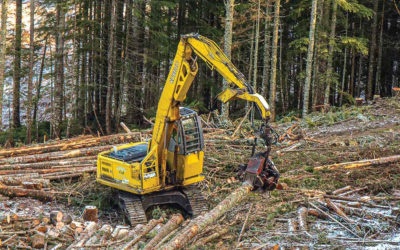 Oregon May Alter Forest Practices
