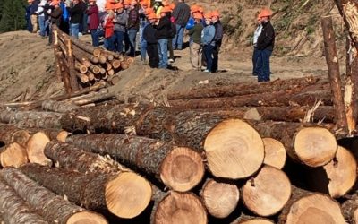 American Loggers Council Annual Meeting 2021 Highlights